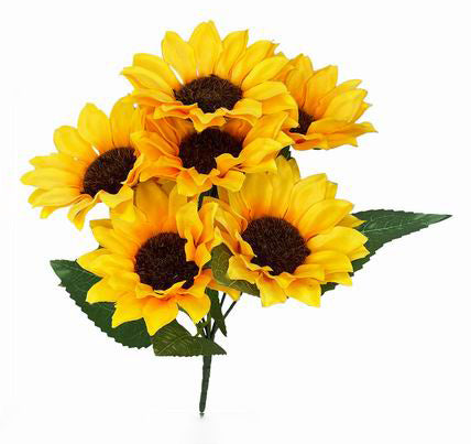 Ramo de Girasol - DF157