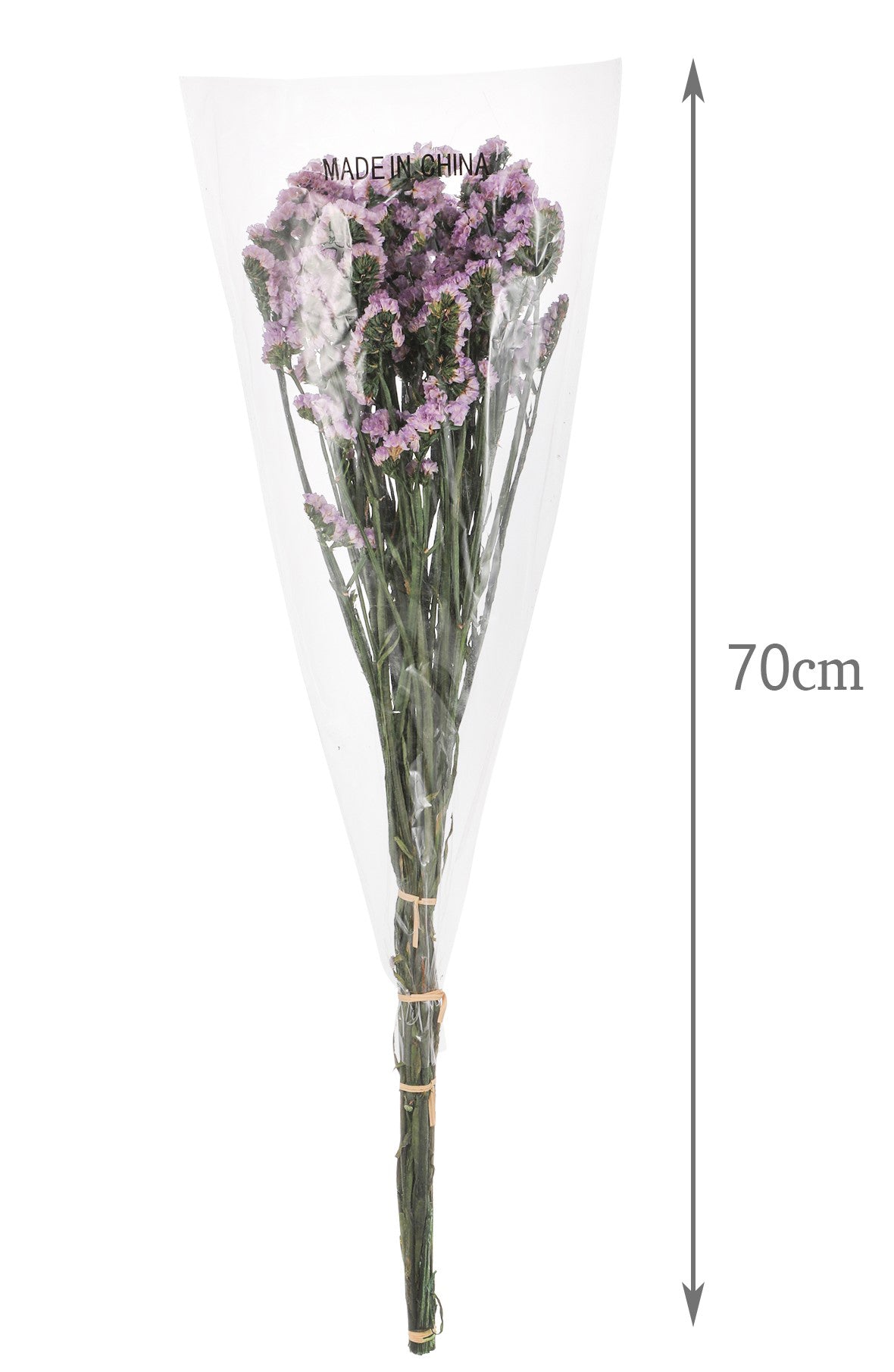 Ramo Preservado - DF138