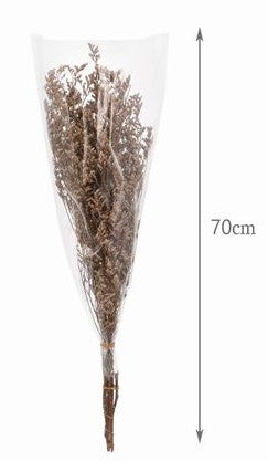 Ramo Preservado - DF151