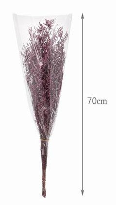 Ramo Preservado - DF152