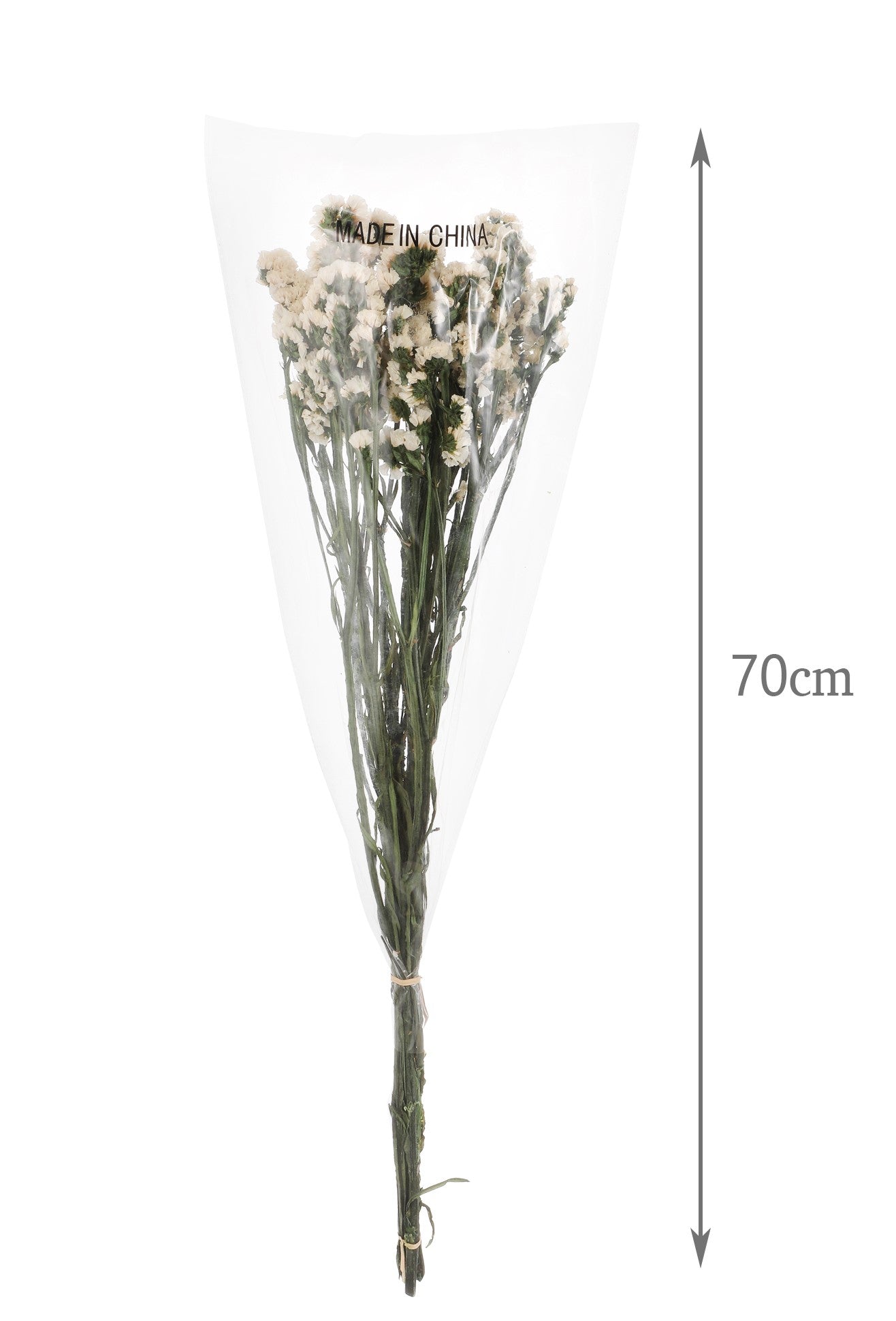 Ramo Preservado - DF135