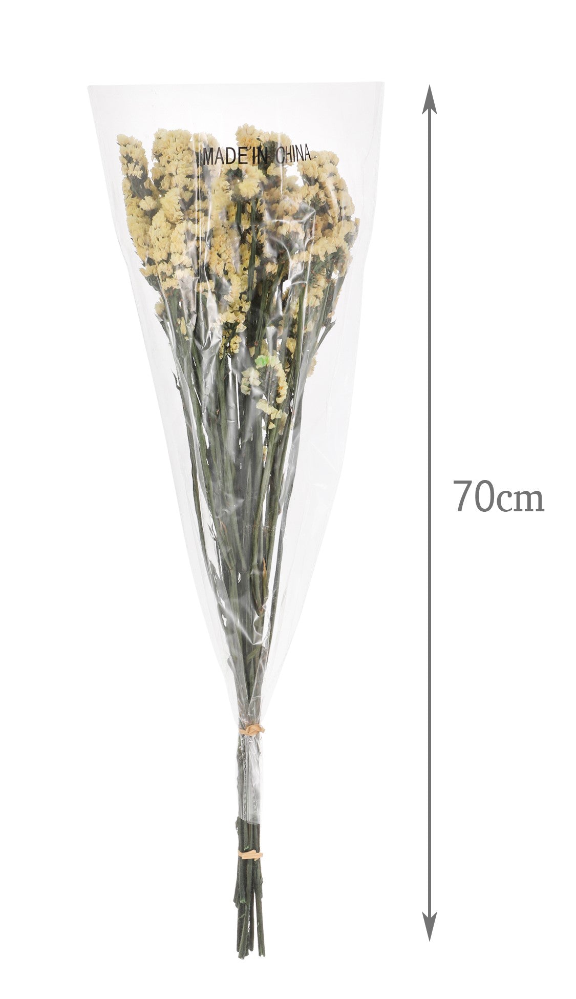 Ramo Preservado - DF137