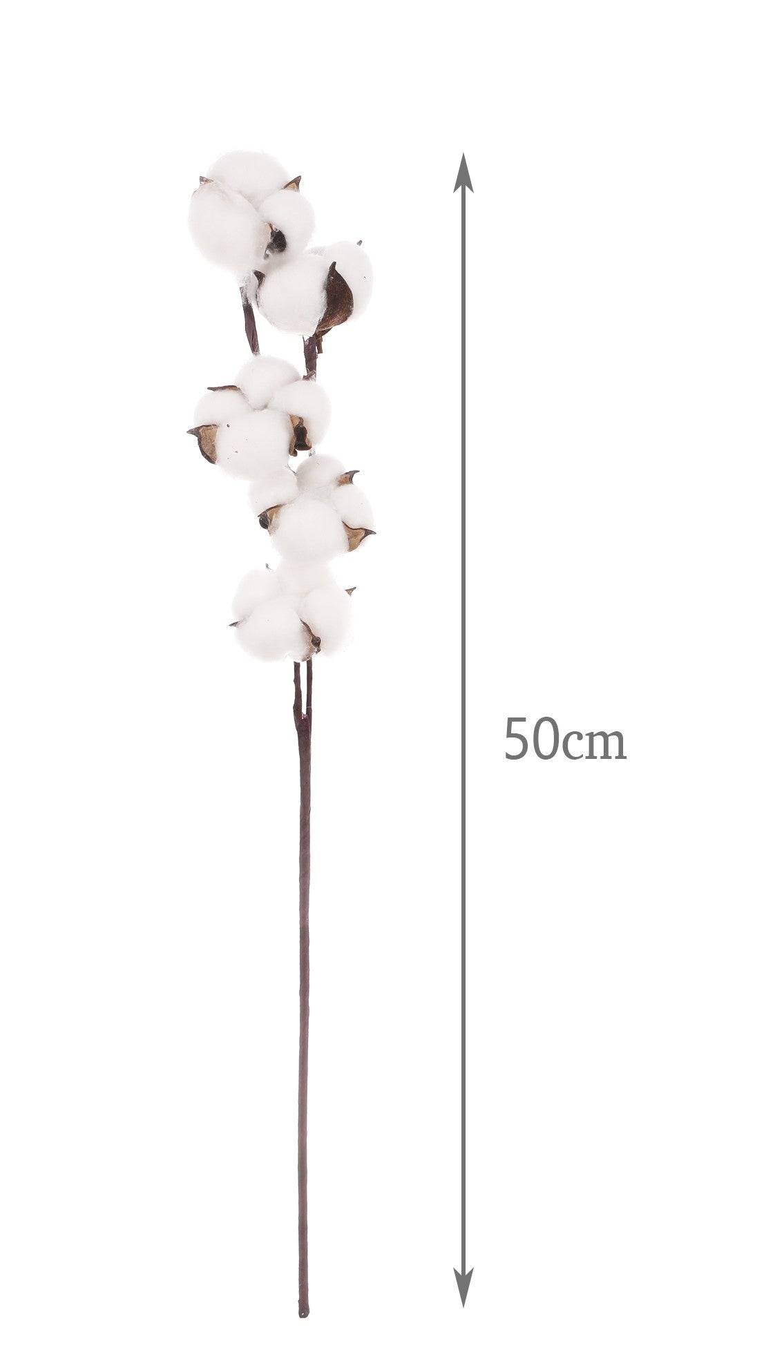 Follaje de Algodon - DF147