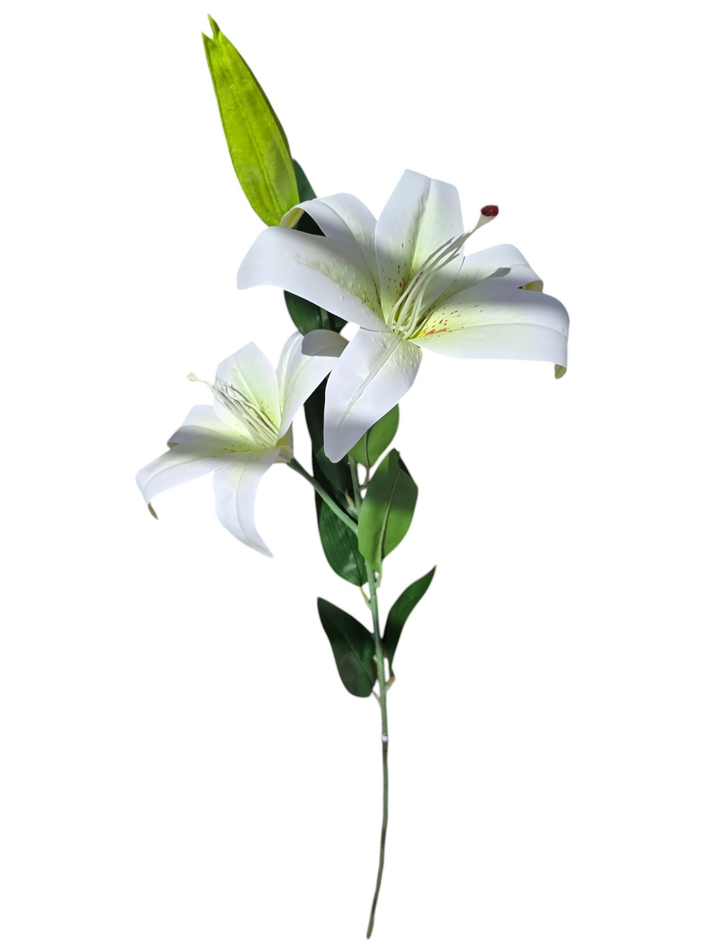 Vara de Lirio X2 - DF020