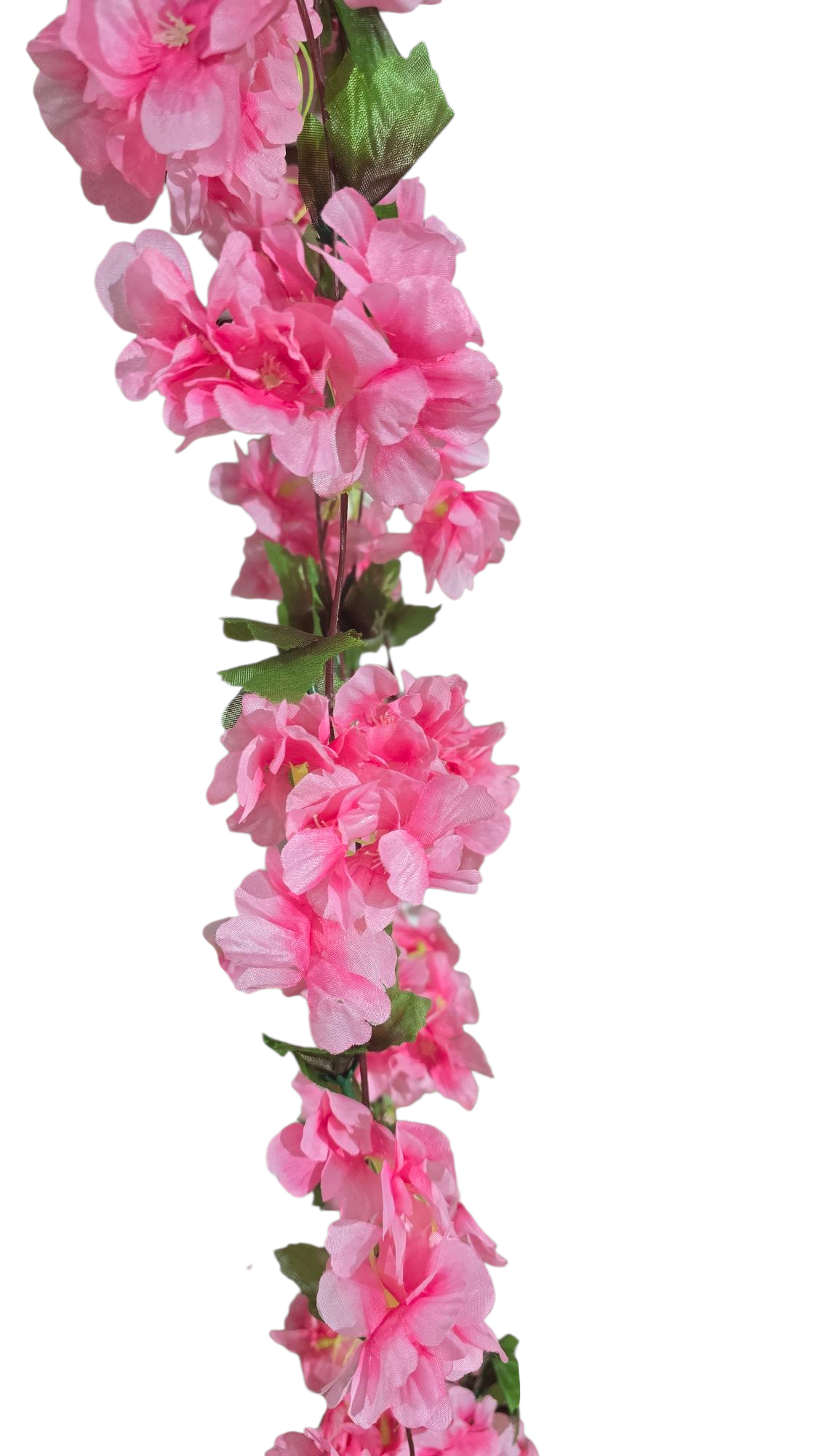 Guia de Cerezo con Hojas - DF179