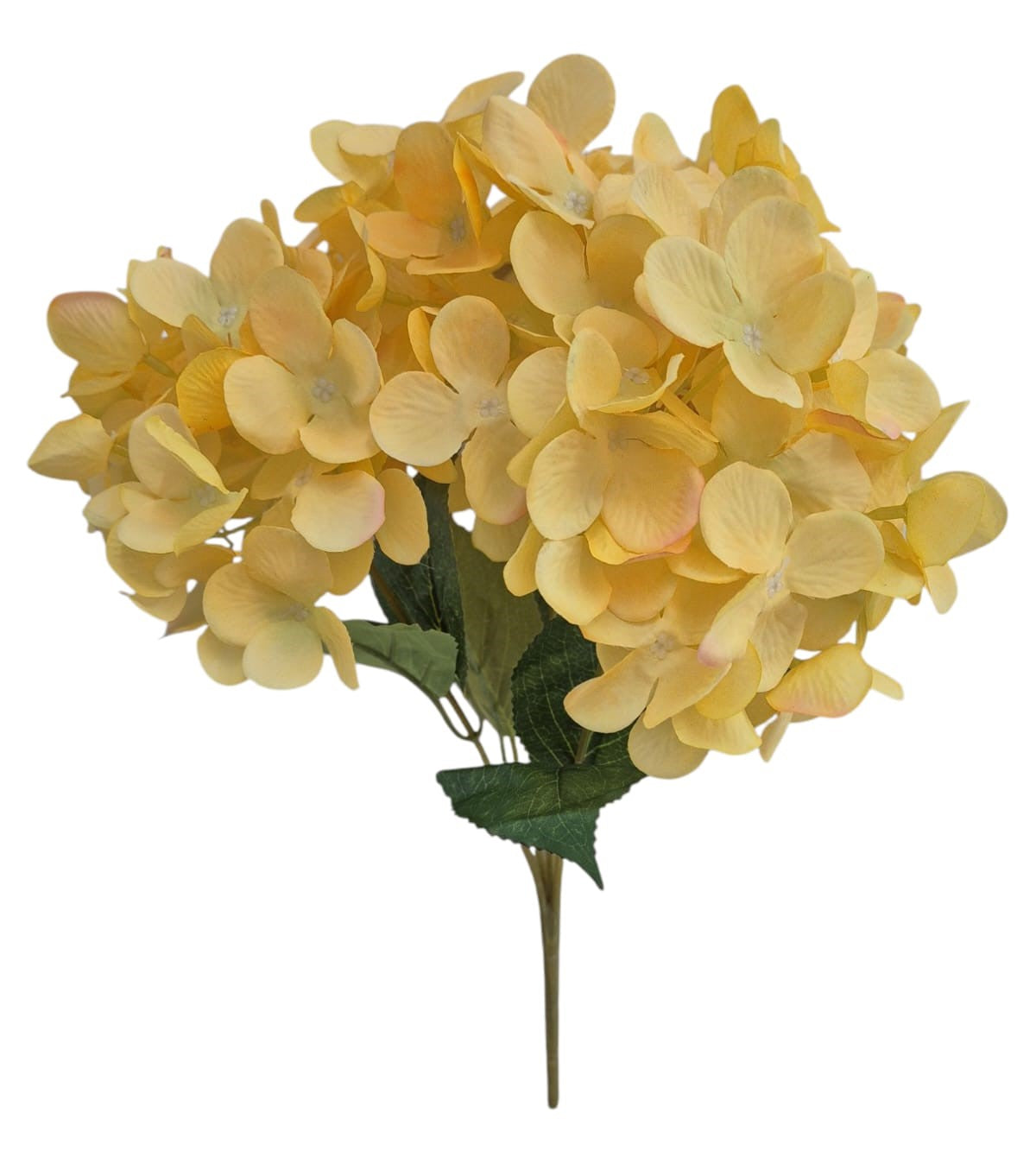 Ramo de Hortensias - PD299