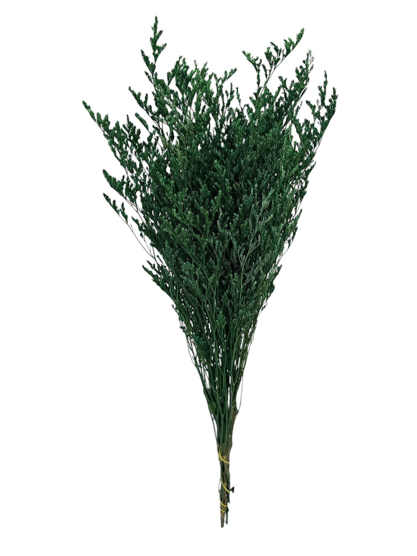 Ramo Preservado - DF140