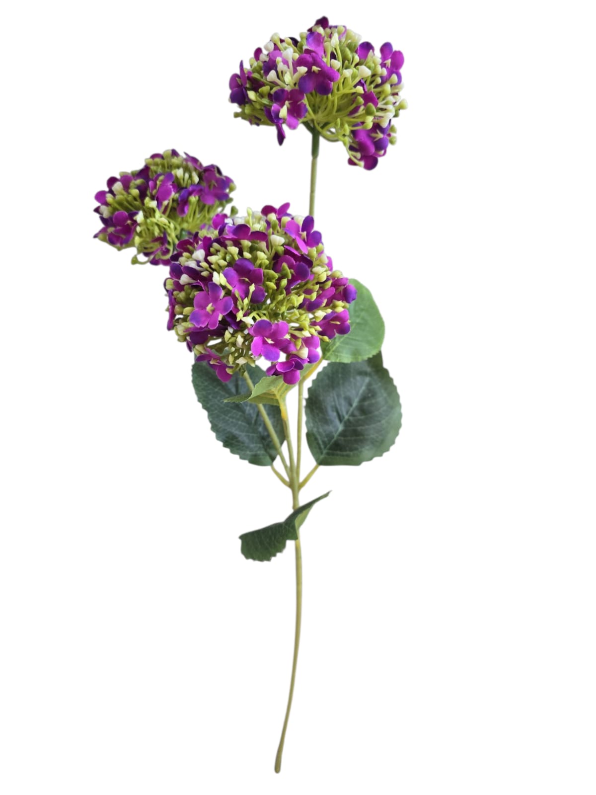 Vara con Hortensias con Follaje - PD307