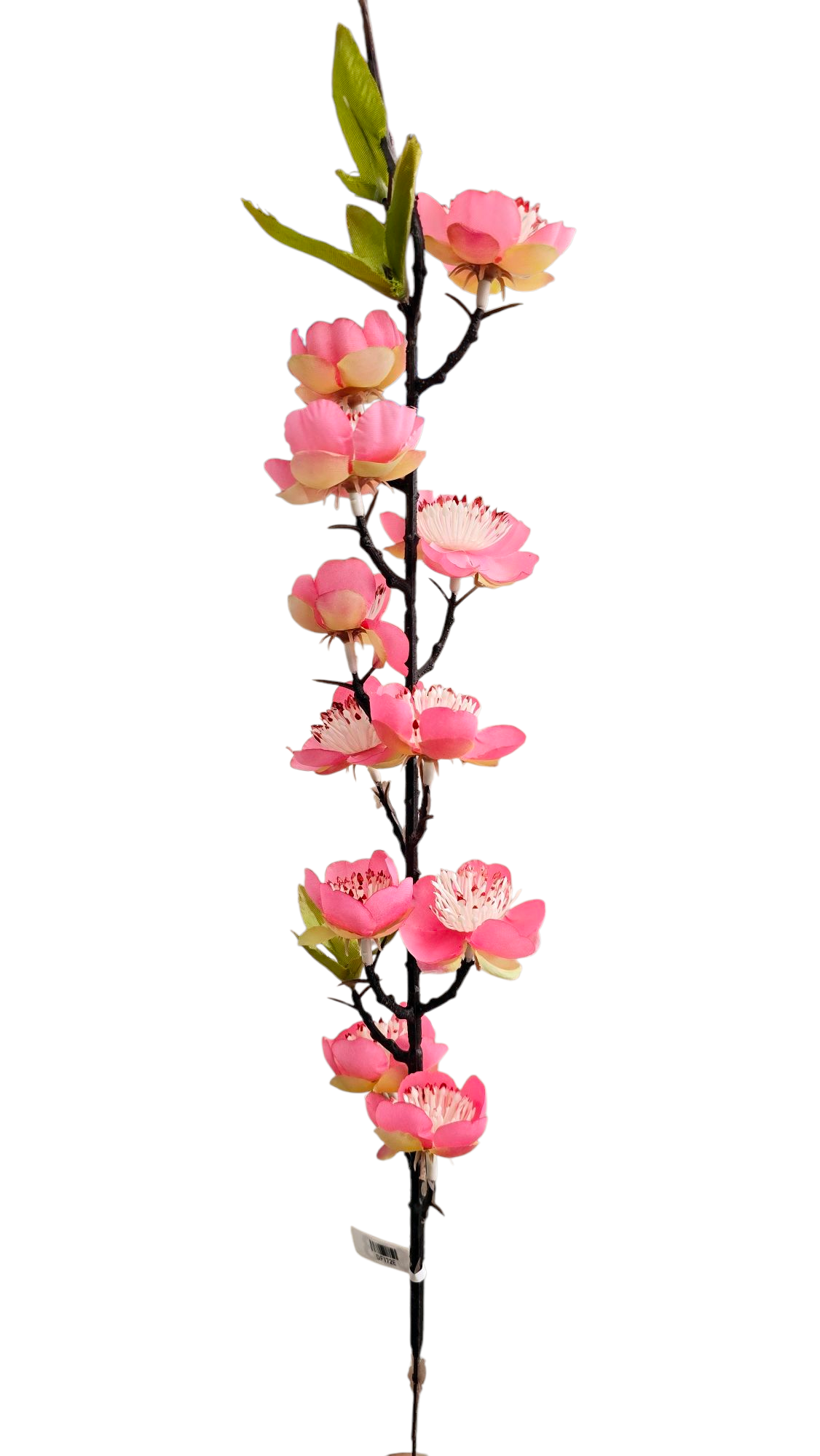 Vara Flor de Ciruelo - DF172