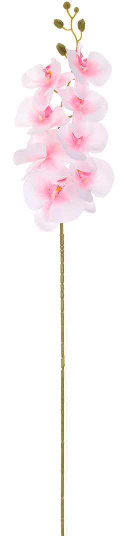 Rama de Orquídea - DF109