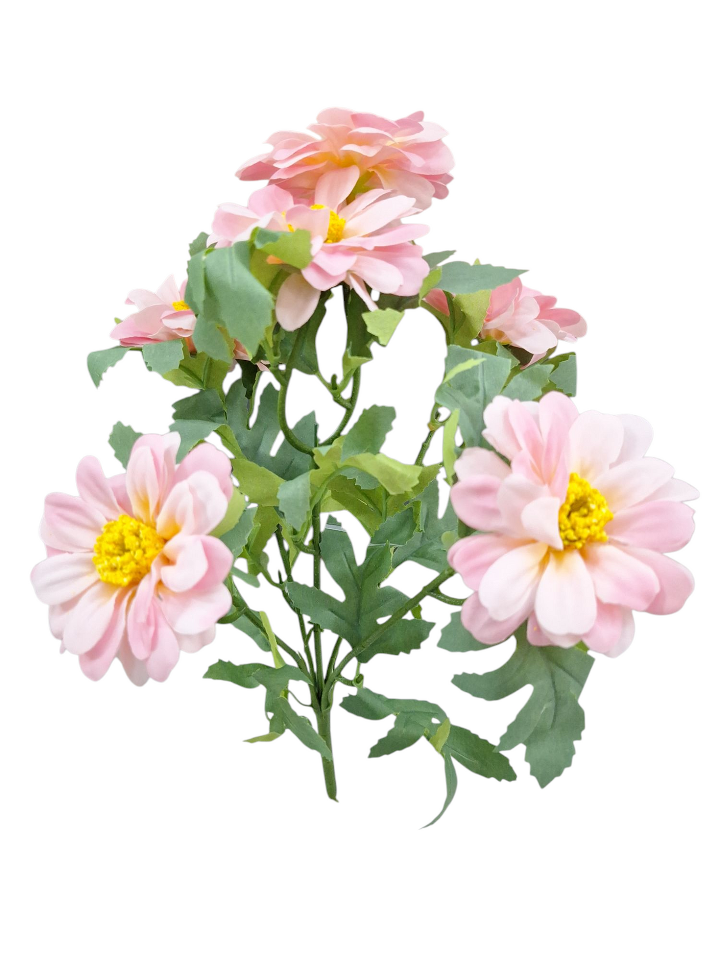 Ramo de Zinnia - DF214