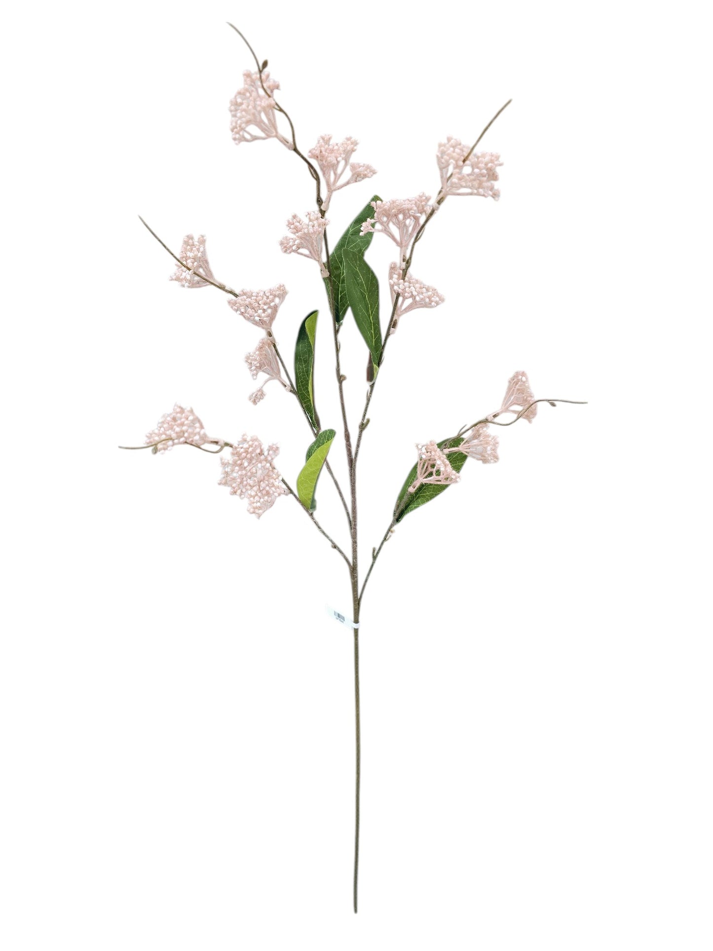 Vara de Follaje Gypsophila - DF154