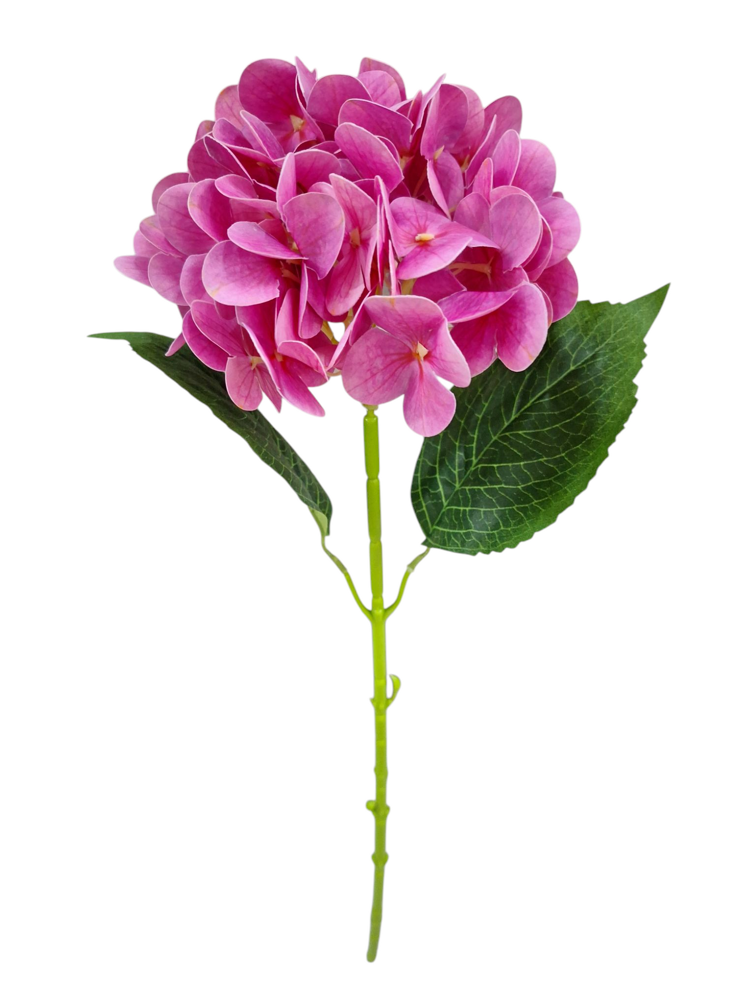 Vara de Hortensia - DF218