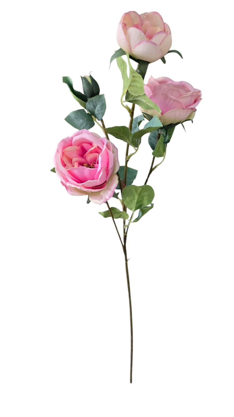 Vara X3 Rosas - PD297