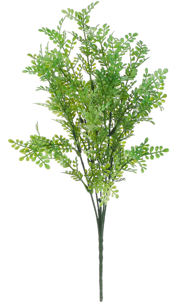 Follaje de Helecho - DF074