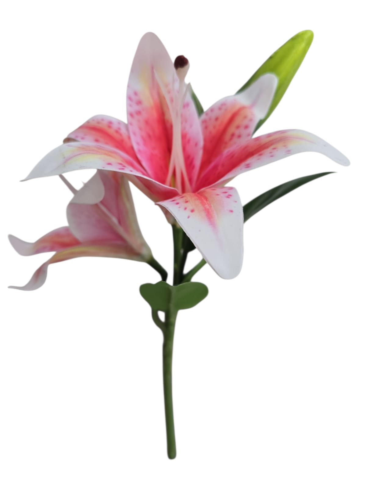 Vara X2 Lirios - PD309