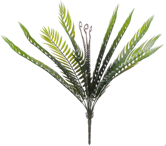 Planta de Palmera - DF051