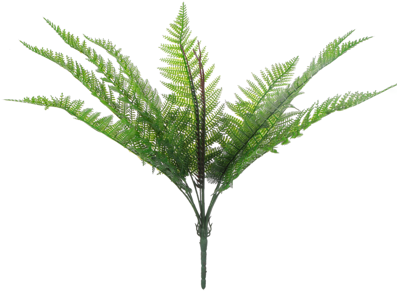 Ramo de Helecho - DF039