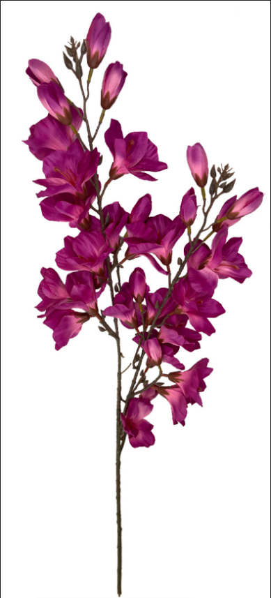 Vara de Magnolia - DF024