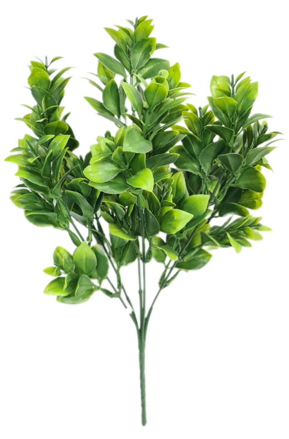 Ramo Follaje Ruscus 34cm - YBL156