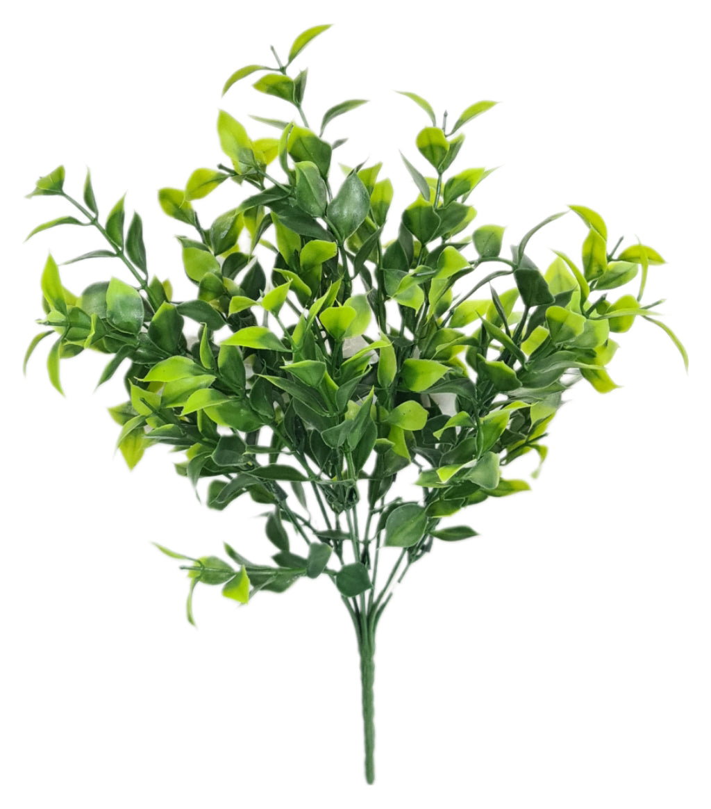 Ramo Follaje Ruscus 35cm - YBL157