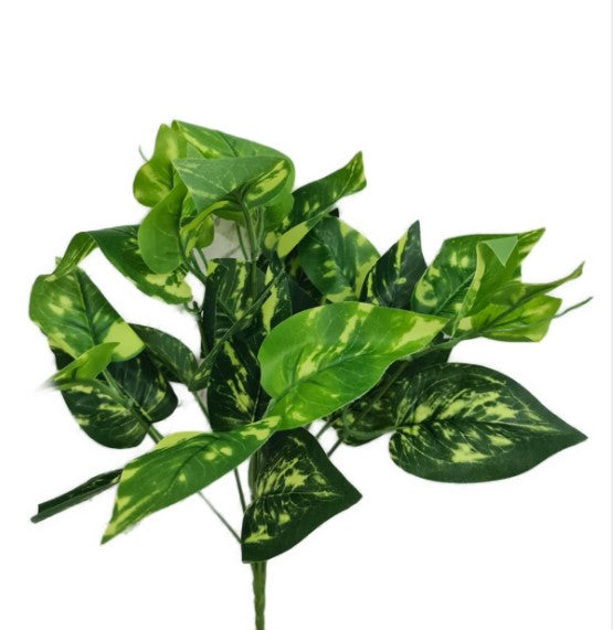 Planta Verde Tipo Ornato YBL112