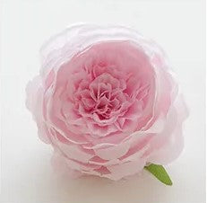 Cabeza Peonia 10cm YBL110