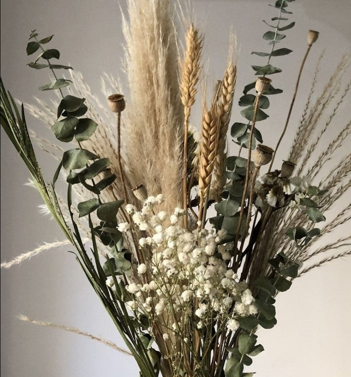 PRESERVADO | NATURALEZA SECA