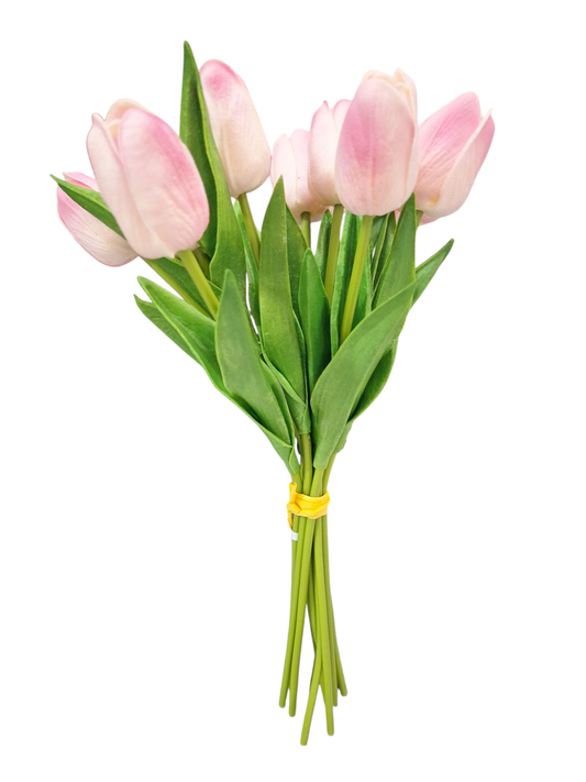 Ramo X10 Tallos de Tulipanes - DF178