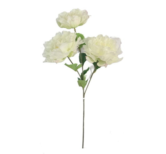 Tallo 3 Peonias - (PD139)