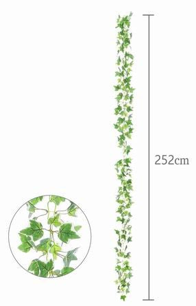 Guía de Hojas - DF149