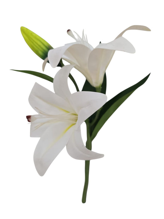 Vara X2 Lirios - PD309