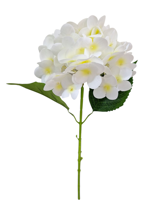 Vara de Hortensia - DF218