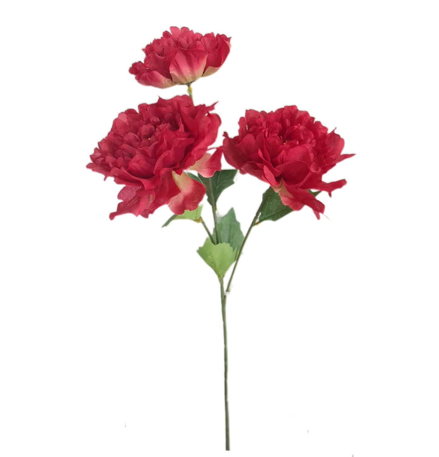 Tallo 3 Peonias - (PD139)