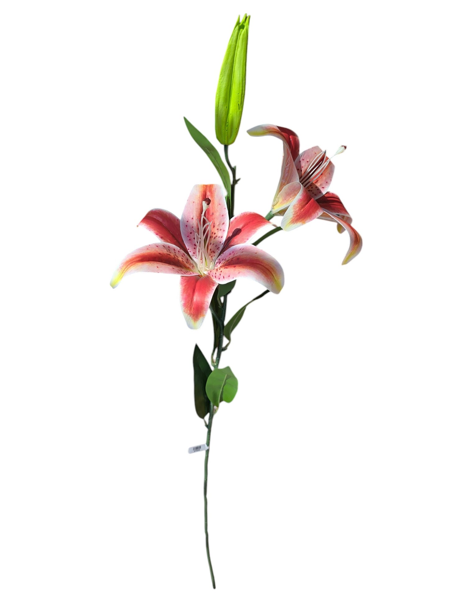 Vara de Lirio X2 - DF020