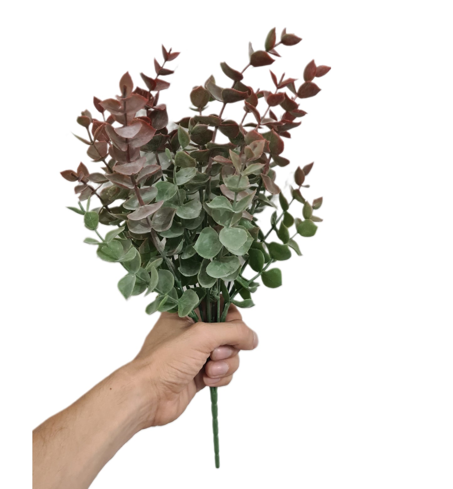 Follaje de Dolar 30cm - CL011