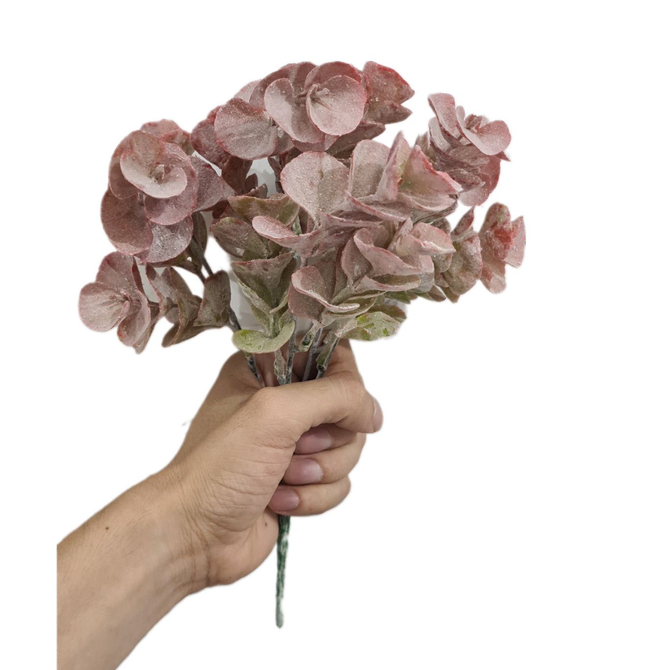Follaje de Dolar 30cm - CL011