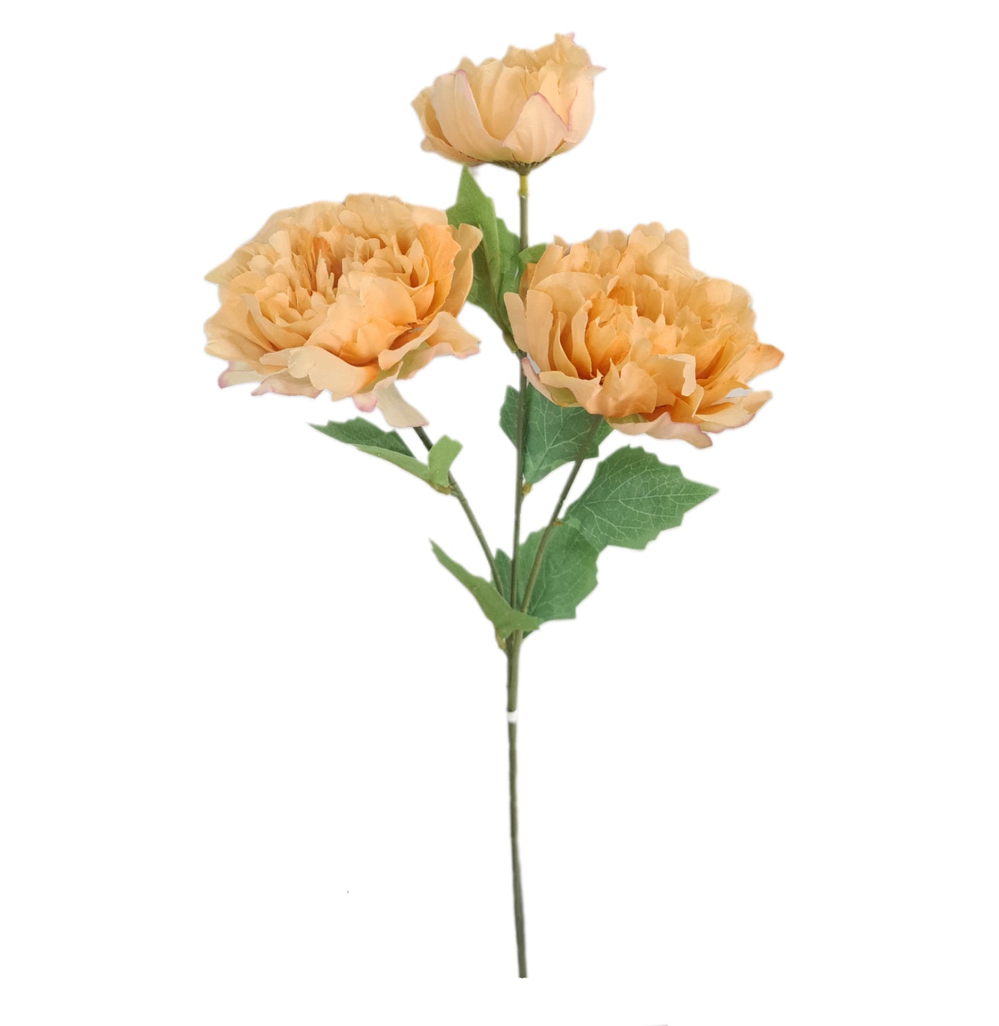 Tallo 3 Peonias - (PD139)