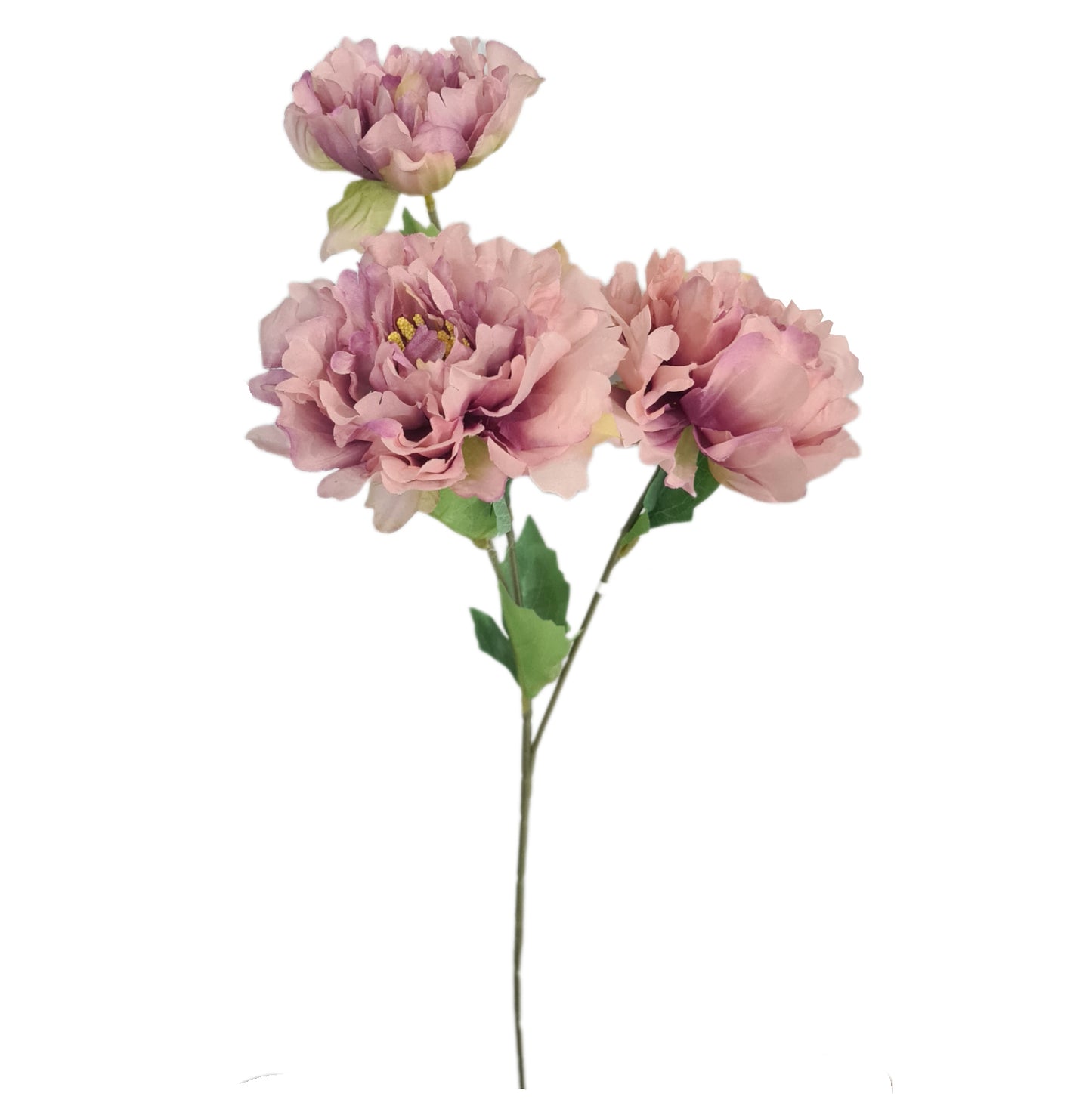 Tallo 3 Peonias - (PD139)