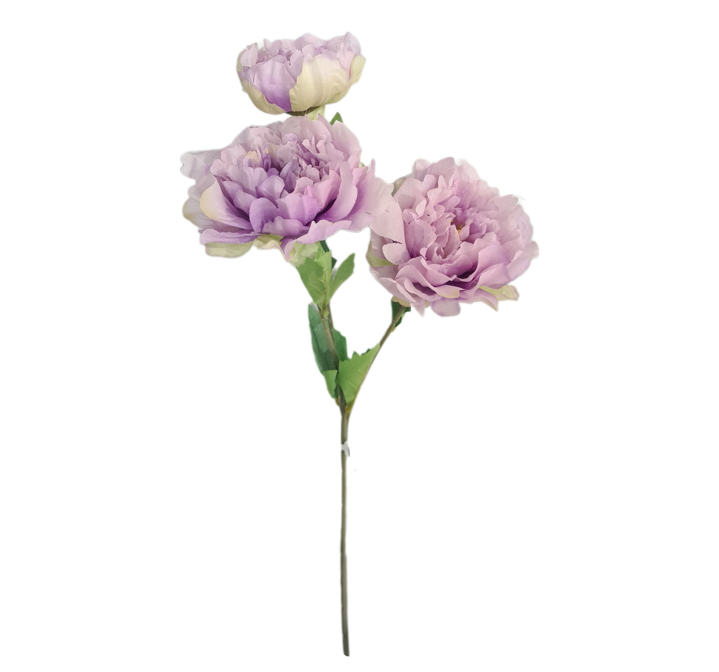 Tallo 3 Peonias - (PD139)