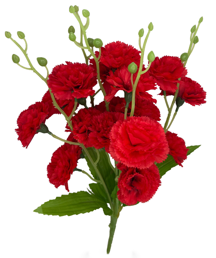 Ramo de Clavel - DF040