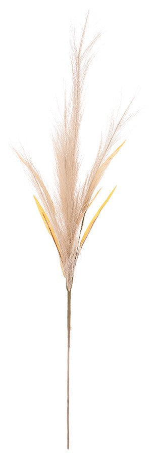 Vara de Pampa con Follaje - DF148
