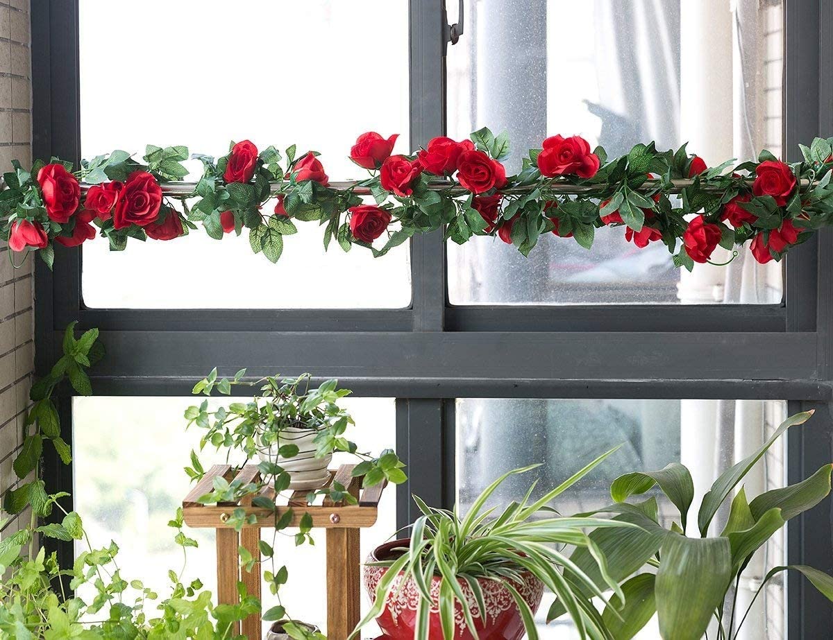 Guía Enredadera de Rosas con Follaje Hojas YBL006