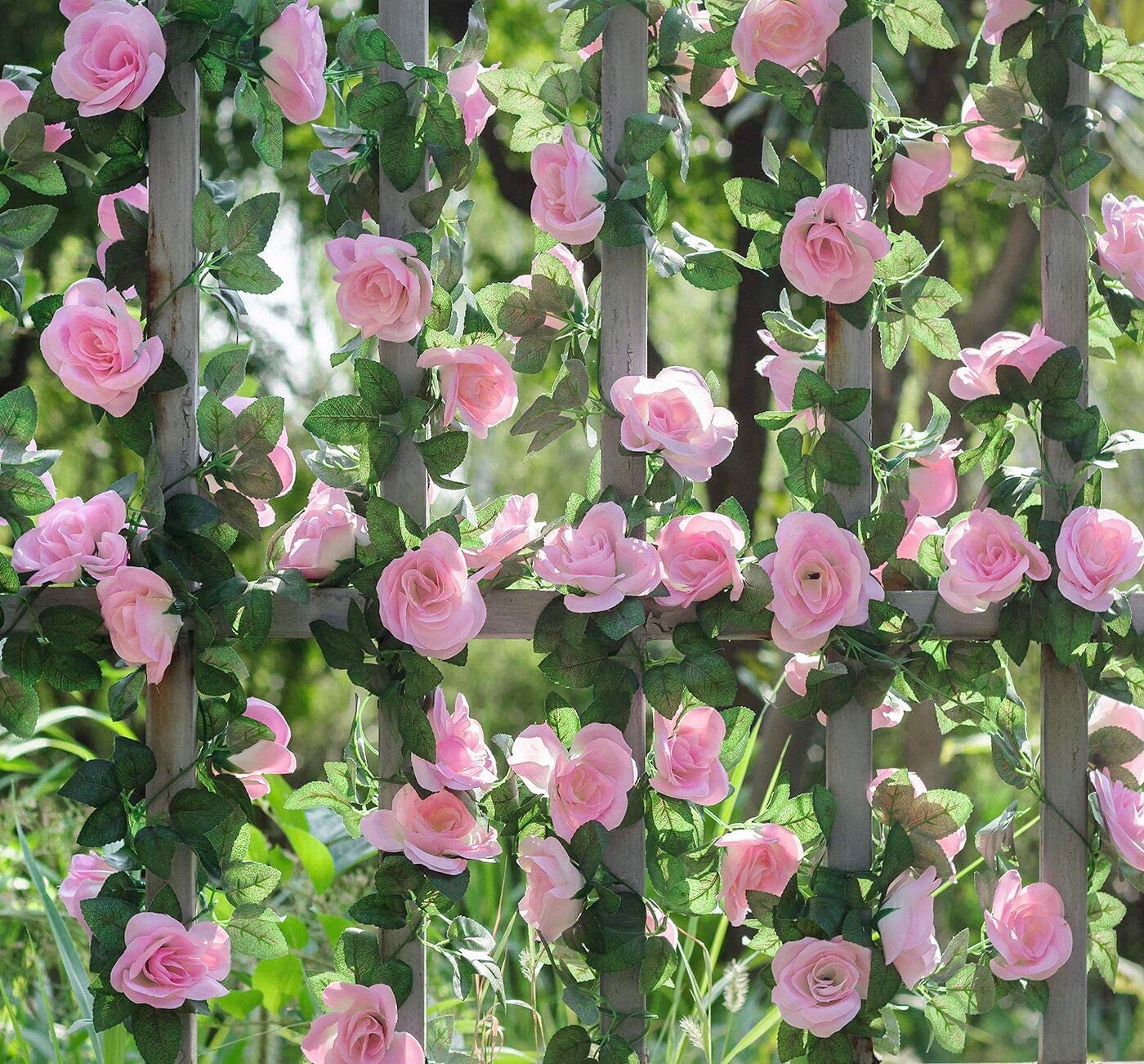 Guía Enredadera de Rosas con Follaje Hojas YBL006