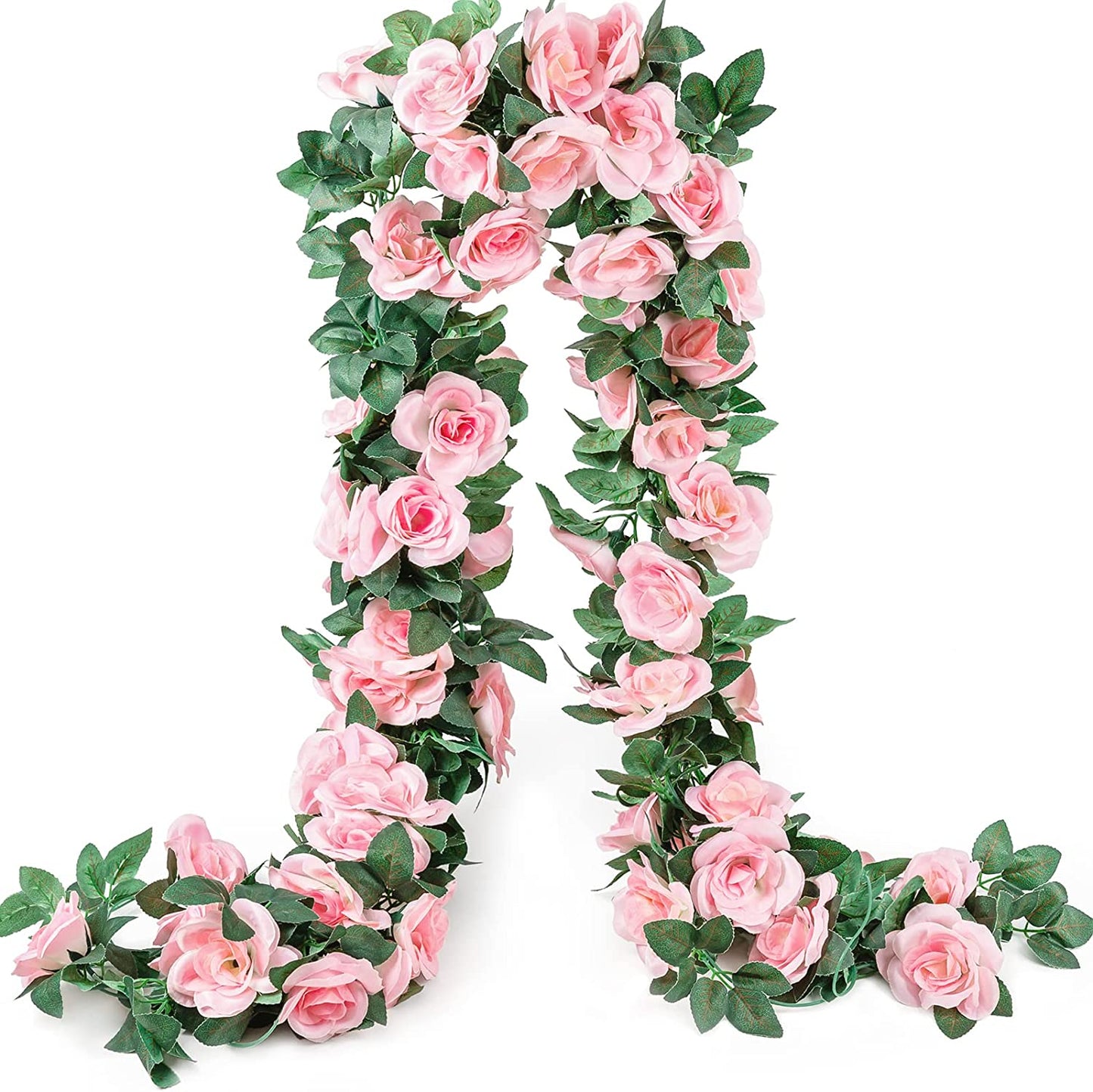 Guía Enredadera de Rosas con Follaje Hojas YBL006