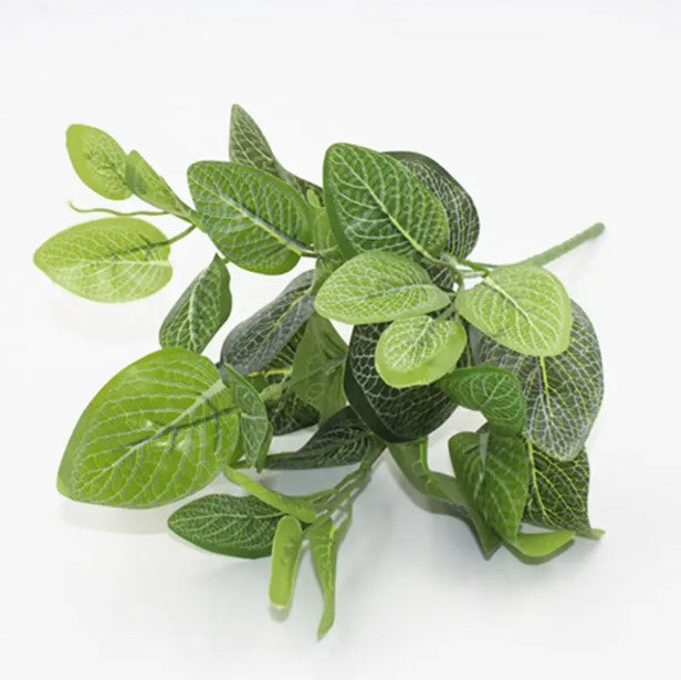 Planta Verde Tipo Ornato YBL112