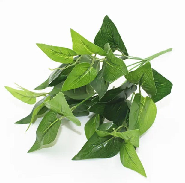 Planta Verde Tipo Ornato YBL112