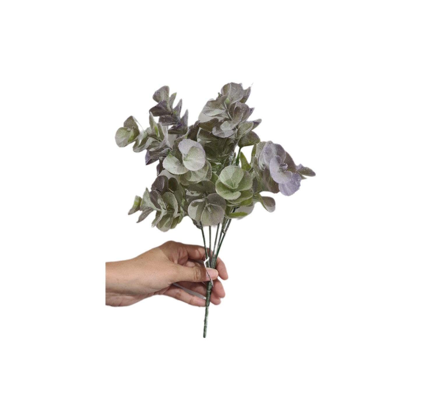 Follaje de Dolar 30cm - CL011