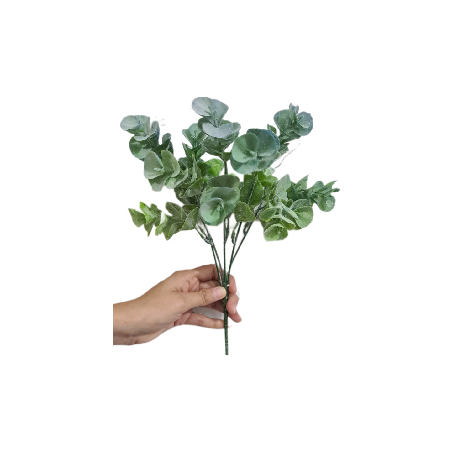 Follaje de Dolar 30cm - CL011
