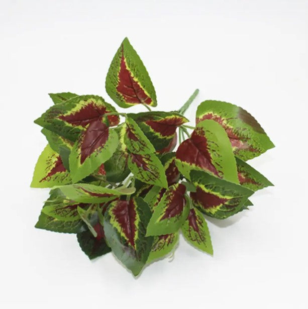 Planta Verde Tipo Ornato YBL112